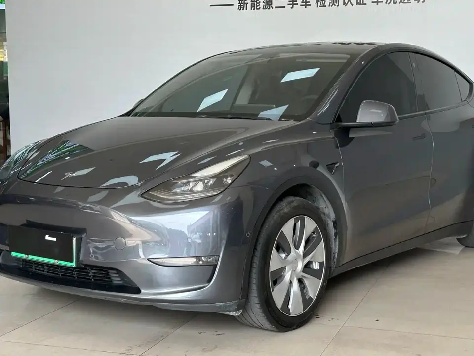Tesla Model Y Standard Range Rear-Wheel Drive 2021