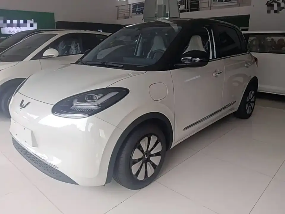 Wuling Motors Wuling Bingo Model 333km Smart Connect 2025