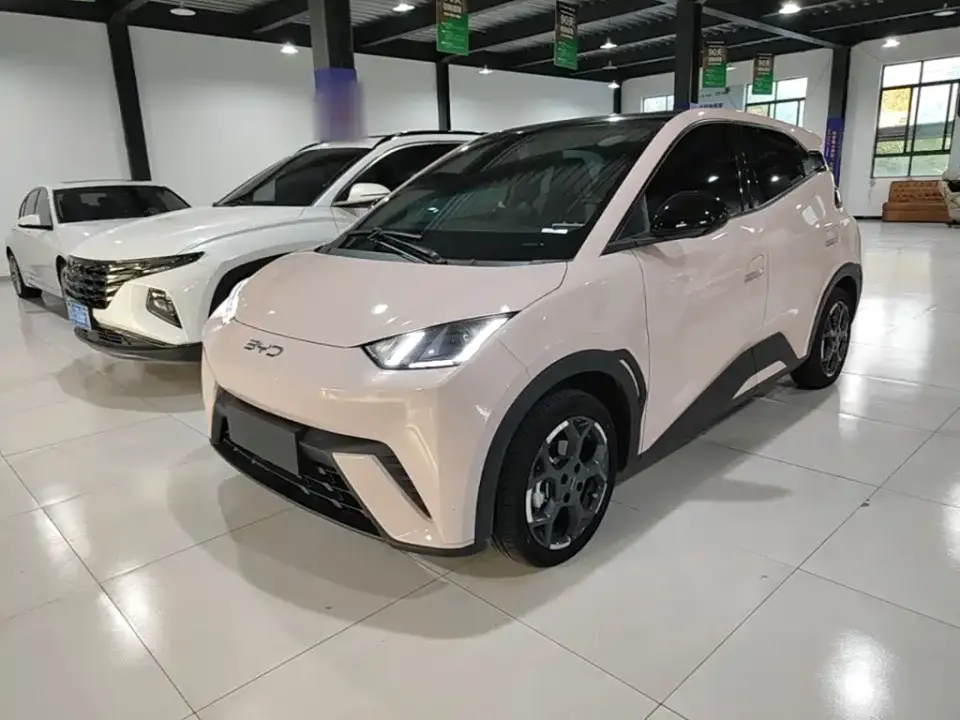 BYD Seagull 305km Freedom 2024