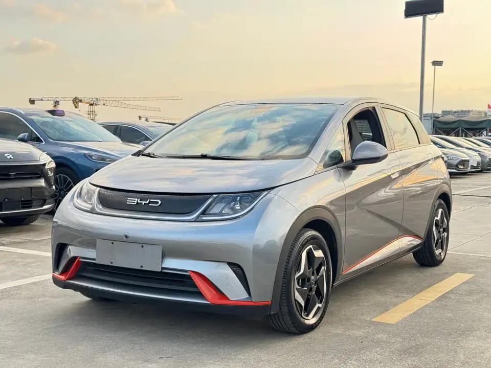 BYD Dolphin Model 405km Fashion Edition 2022