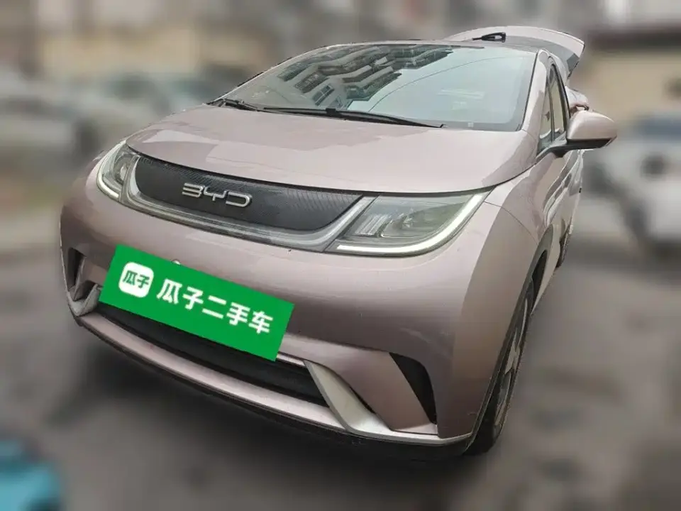 BYD Dolphin 420km Freedom Edition 2024