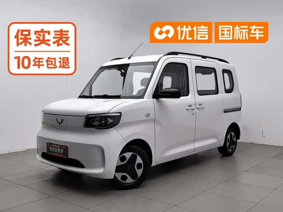 Wuling Motors Wuling Zhiguang NEV Model Comfort 2025