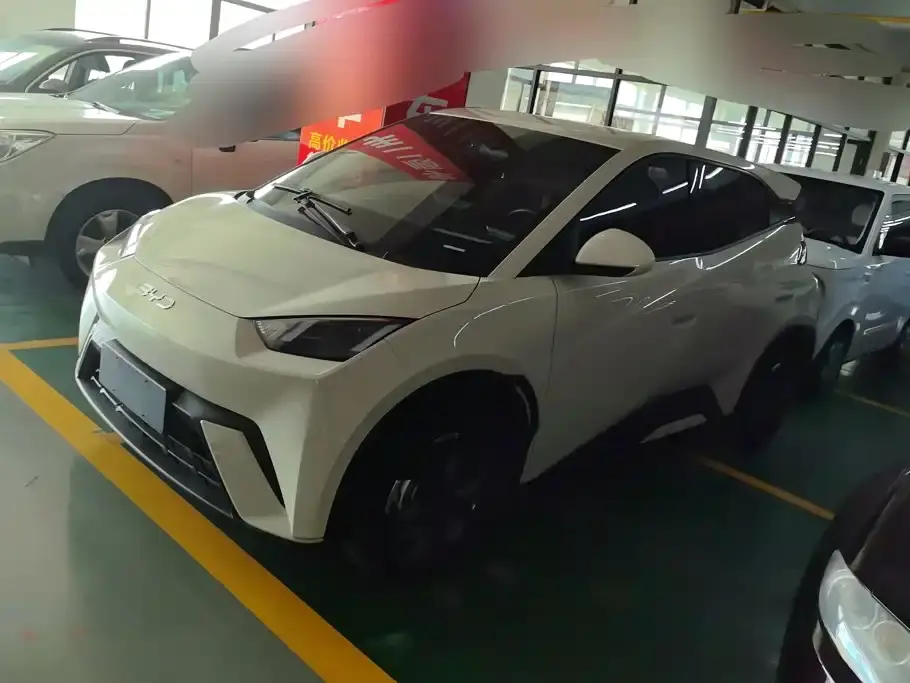 BYD Seagull 305km Freedom 2025