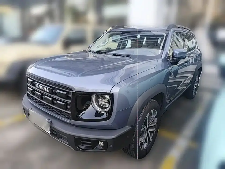 Haval Big Dog 1.5T DCT Border Collie Edition 2025