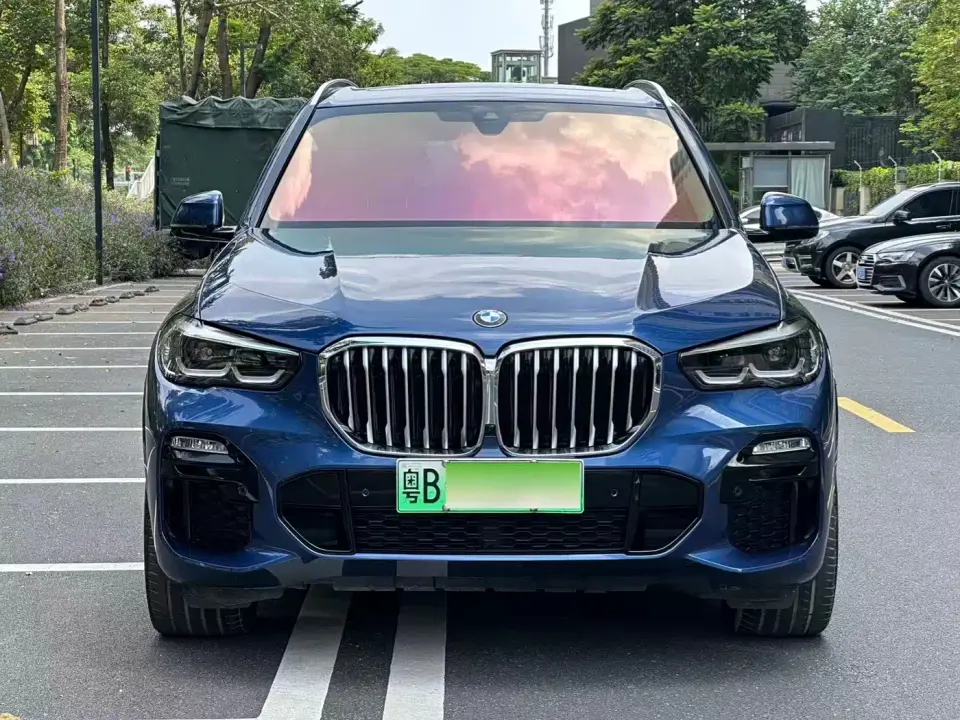 BMW X5 New Energy(Imported) xDrive45e M Sport Package 2021