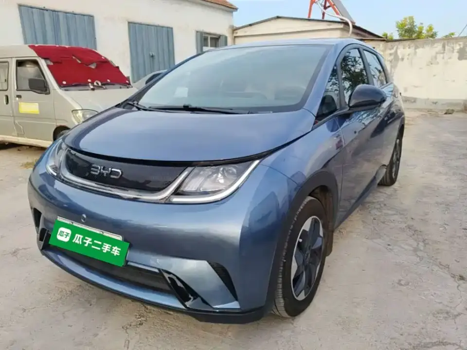 BYD Dolphin Smart Drive Edition 420km Freedom Version 2025