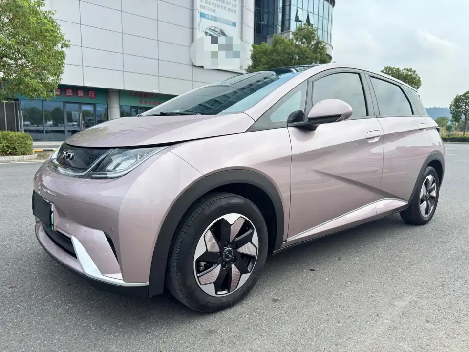 BYD Dolphin Glory Edition 420km Fashion Edition 2024