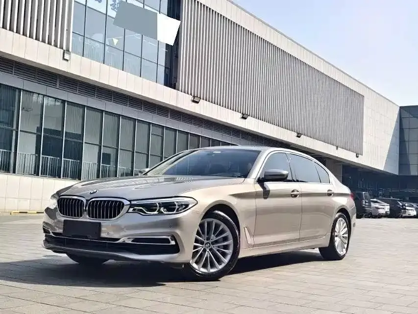 BMW 5 Series 530Li Leading Luxury Package 2020