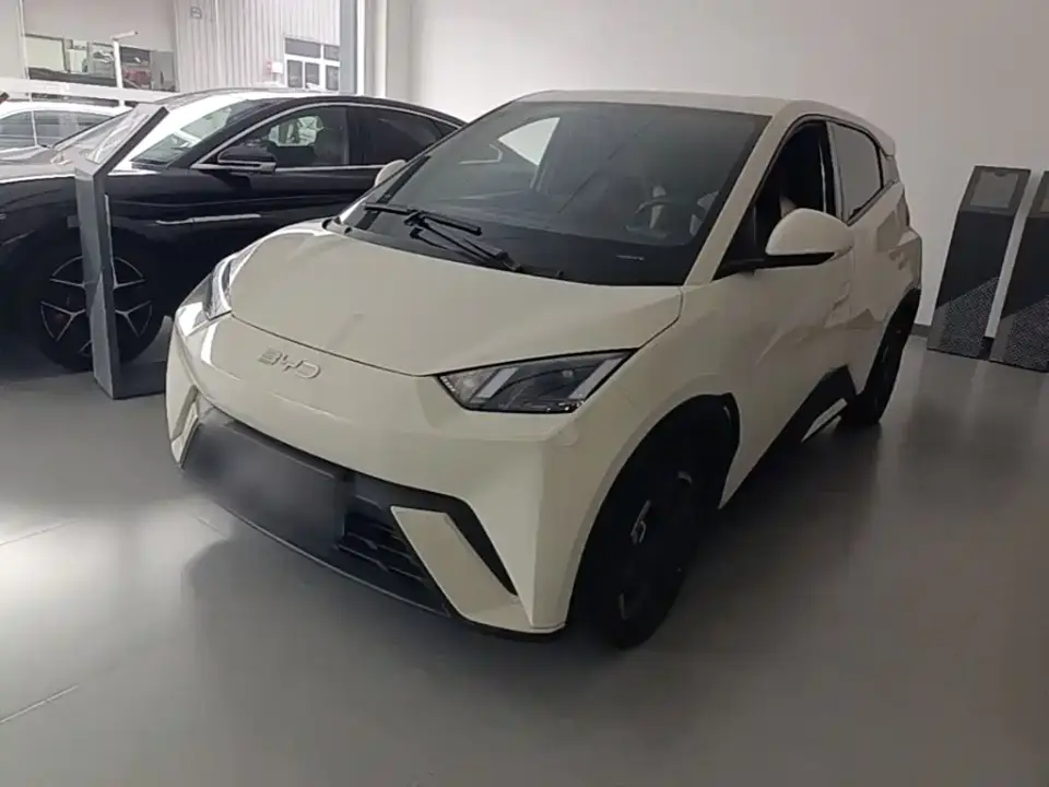 BYD Seagull Glory Edition 305km Freedom Edition 2024