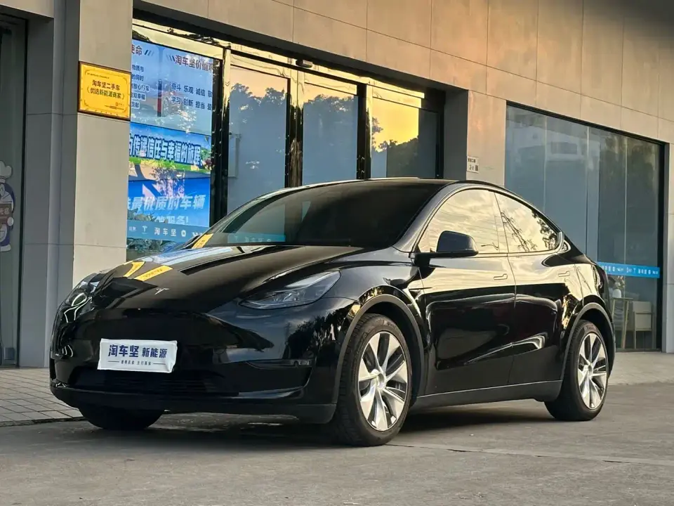 Tesla Model Y Long Range All-Wheel Drive 3D7 2021