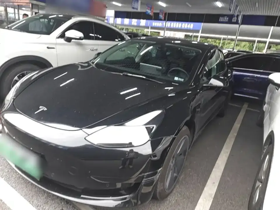 Tesla Model 3 Standard Range Rear-Wheel Drive Upgrade 3D6 2021