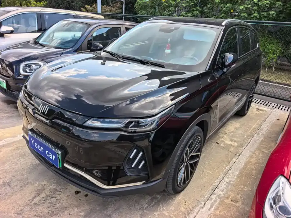 Weltmeister EX6 Plus First Founder Edition 2020