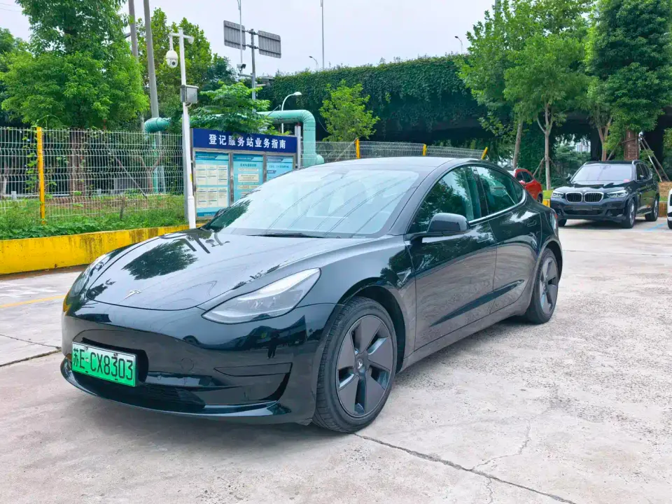 Tesla Model 3 Standard Range Rear-Wheel Drive Upgrade 3D6 2021