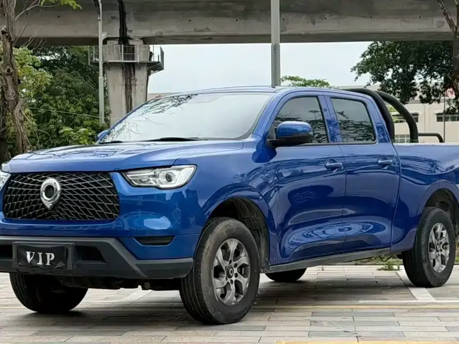 Great Wall Pao 2.0T Commercial Edition Manual Diesel 2WD Elite Long Box GW4D20M 2021