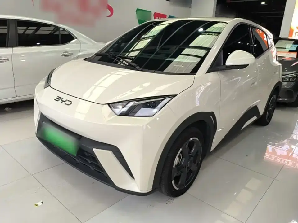 BYD Seagull Glory Edition 305km Freedom Edition 2024