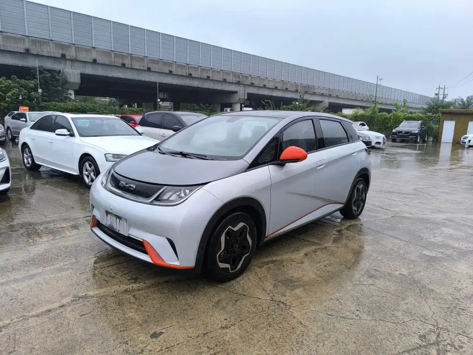 BYD Dolphin Model 405km Fashion Edition 2022