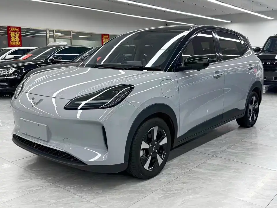 Wuling Motors Wuling Binguo PLUS Model 510km Flagship Edition 4-Seater 2024