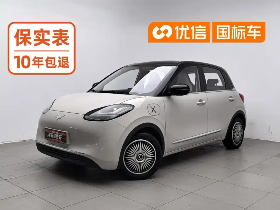Wuling Motors Wuling Bingo 333km Comfort Edition 2024