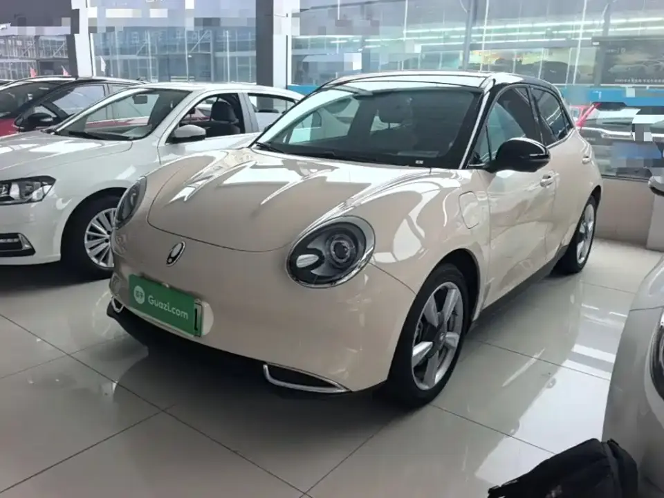 ORA Good Cat 400km Standard Range Luxury LFP 2022