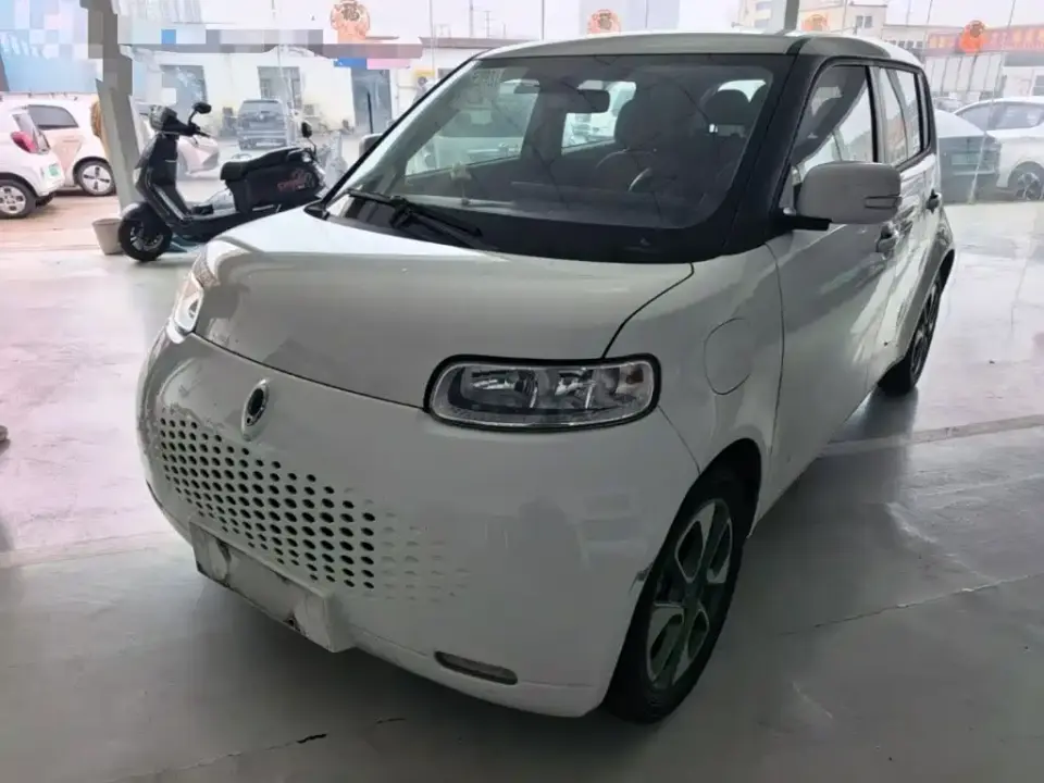 ORA White Cat 305km Luxury 2021