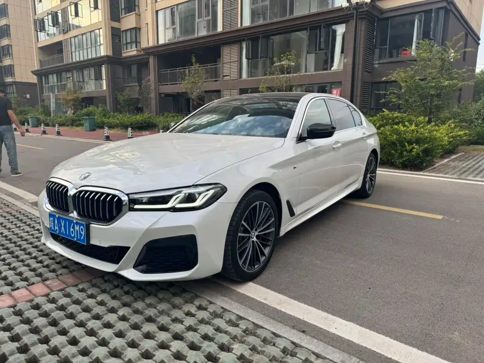 BMW 5 Series 530Li Leading M Sport Package 2021