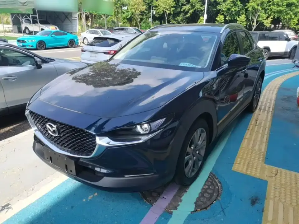 Mazda CX-30 2.0L Auto Premium Joy Type 2021