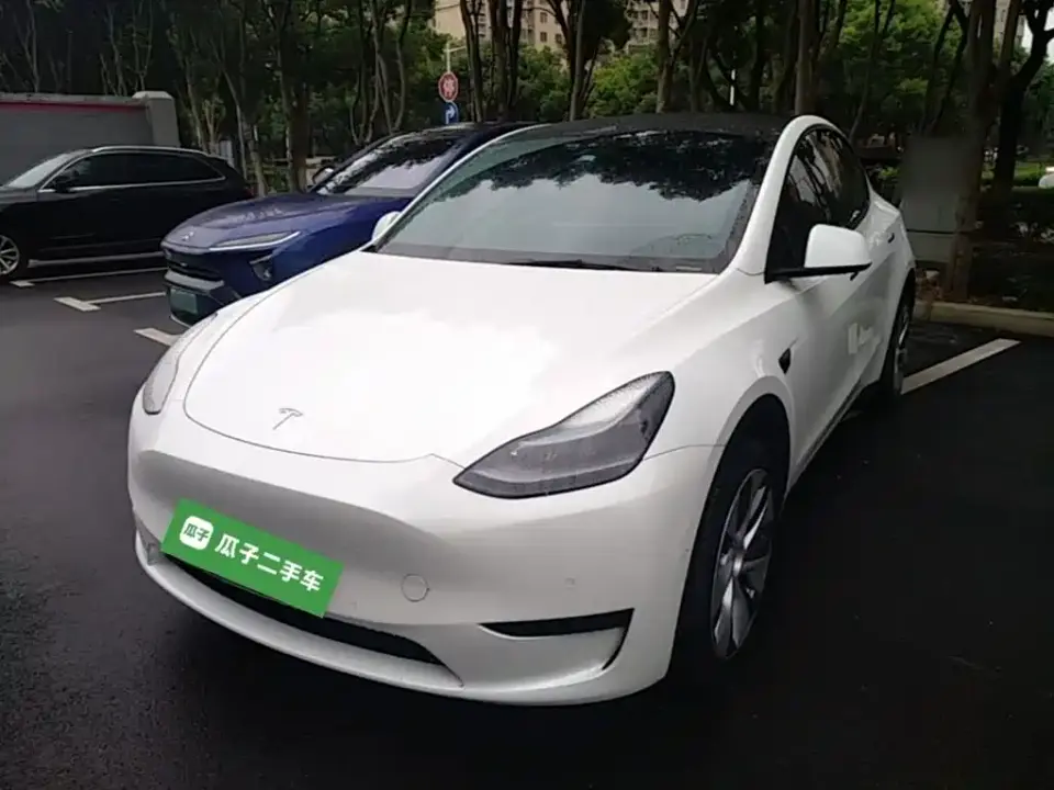 Tesla Model Y Rear-Wheel Drive Version 2022