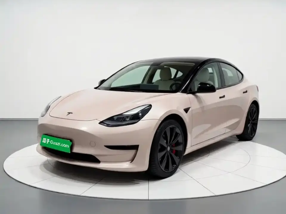 Tesla Model 3 Model Rear-Wheel Drive Version 2023