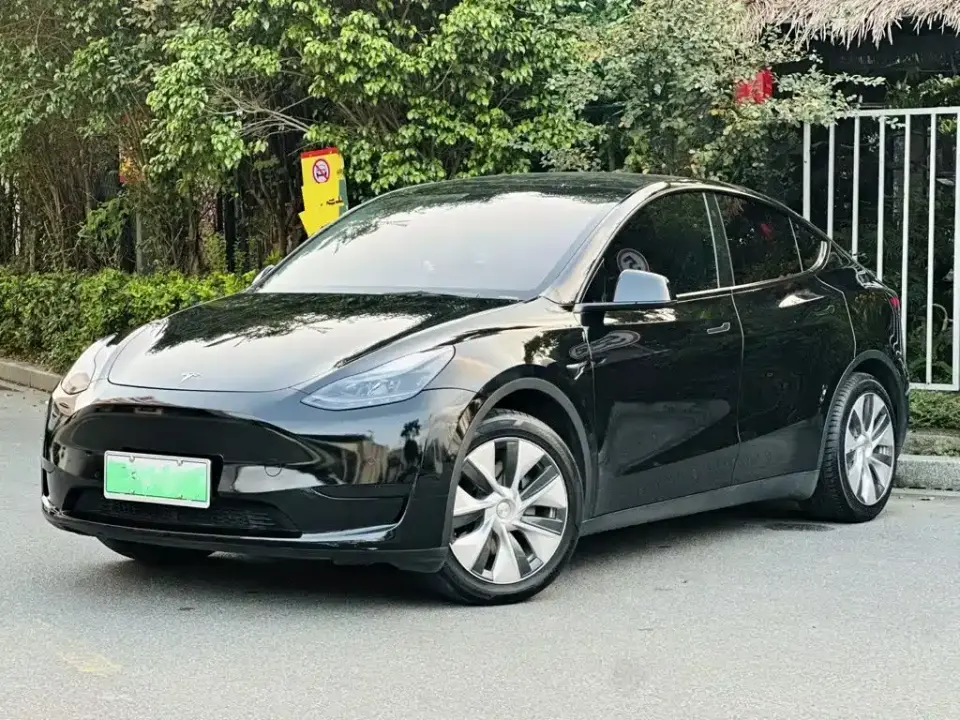 Tesla Model Y Rear-Wheel Drive Version 2022