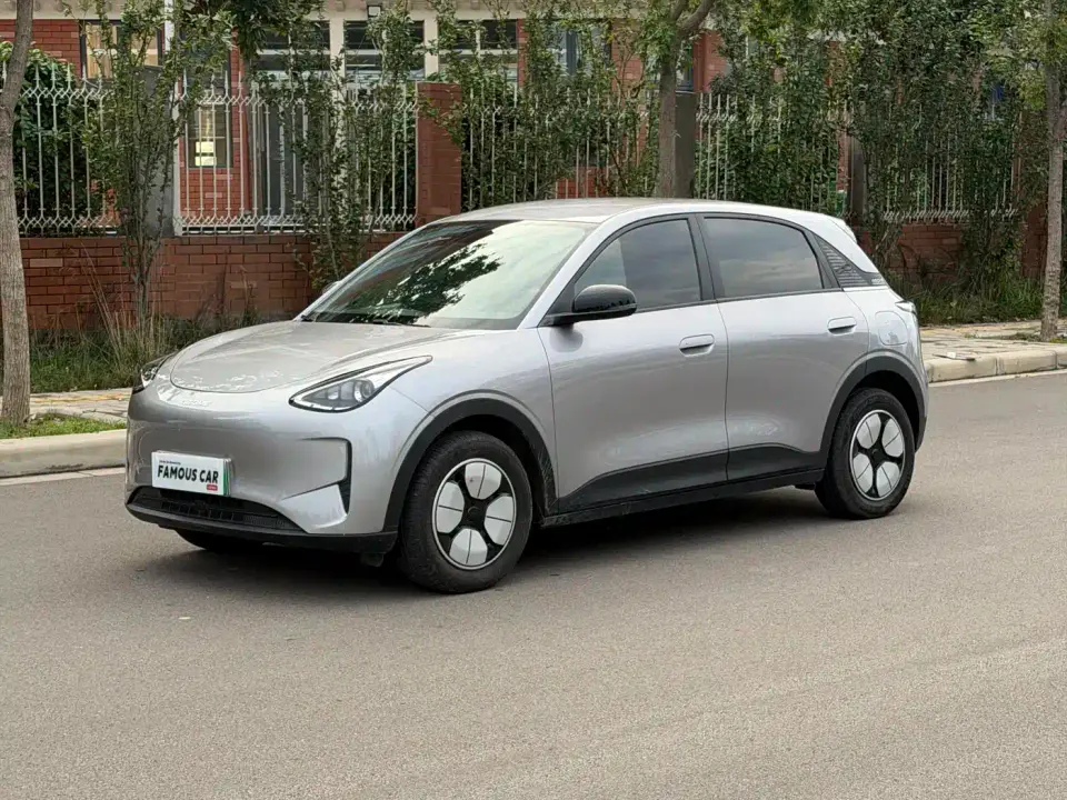 Geely Galaxy Starry Wish 310km Youth Edition 2025