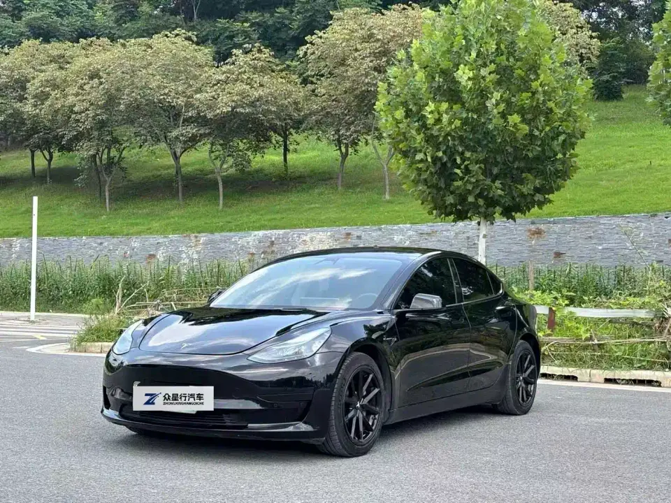 Tesla Model 3 Standard Range Rear-Wheel Drive Upgrade 3D6 2021