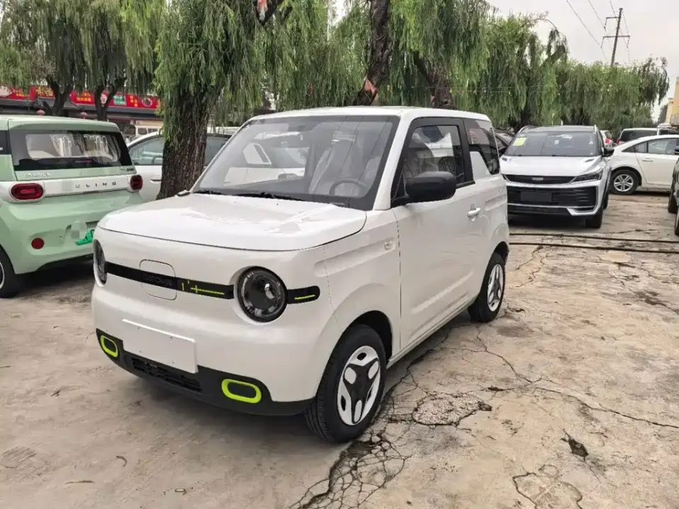 Geely Galaxy Panda Panda mini 210km Vitality Bear 2026