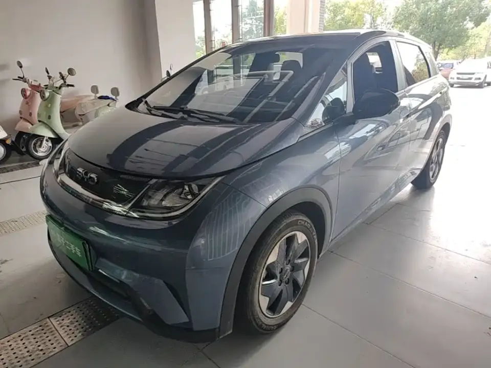 BYD Dolphin Glory Edition 420km Freedom Edition 2024