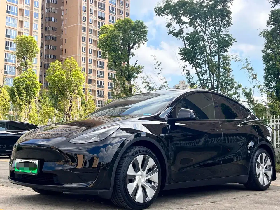 Tesla Model Y Rear-Wheel Drive Version 2022