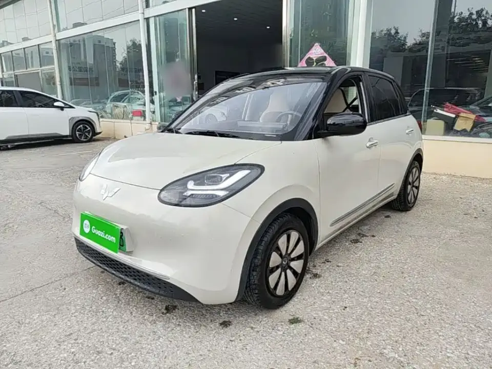 Wuling Motors Wuling Bingo 203km Comfort Version 2023