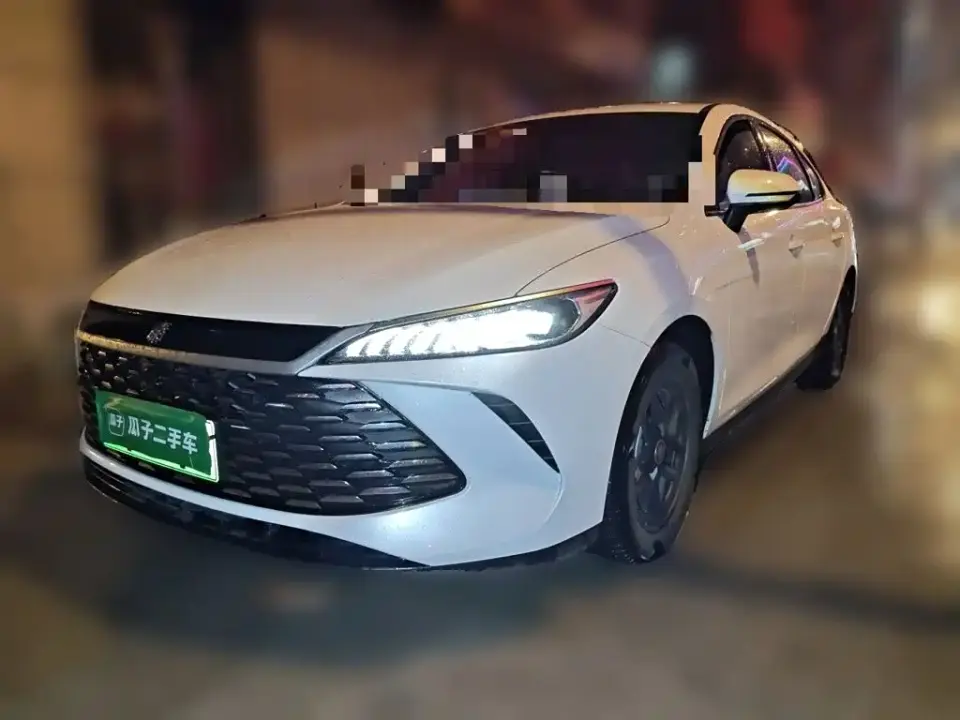 BYD Qin PLUS DM-i Smart Drive 55KM Leader 2025