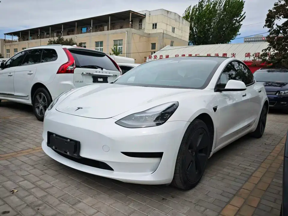 Tesla Model 3 Standard Range Rear-Wheel Drive Upgrade 3D6 2021