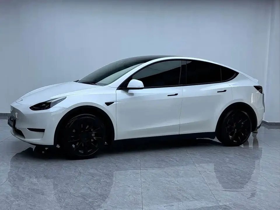 Tesla Model Y Rear-Wheel Drive Version 2022