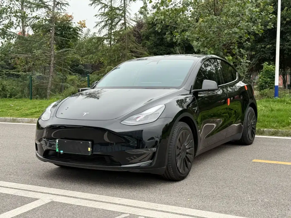 Tesla Model Y Standard Range Rear-Wheel Drive 2021