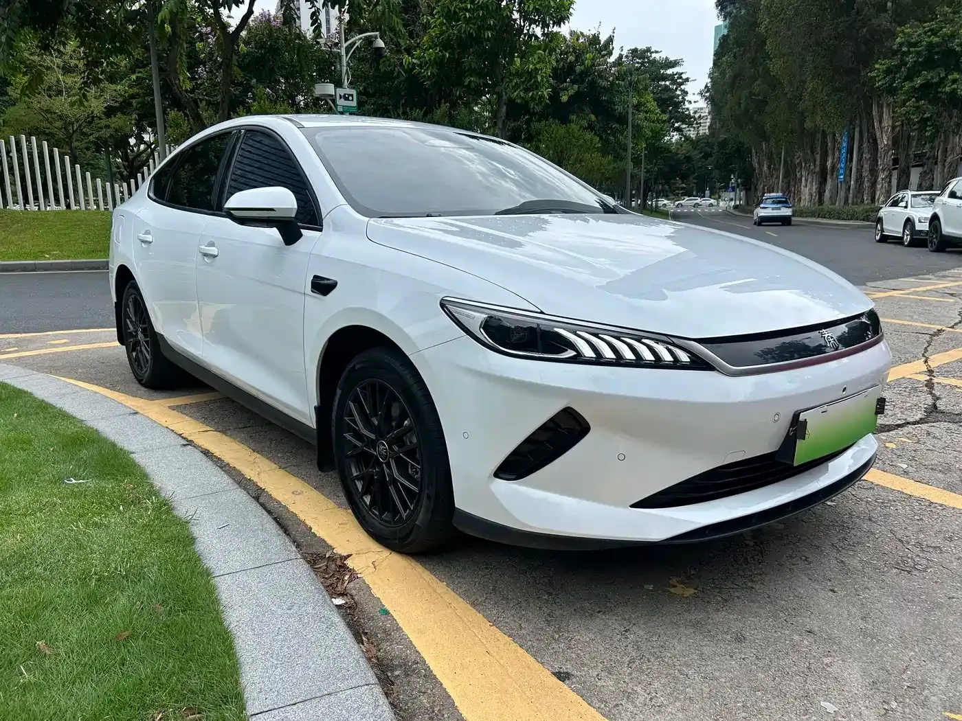 BYD Qin PLUS EV Smart Drive Edition 420KM Leading Type 2025 — фото 3