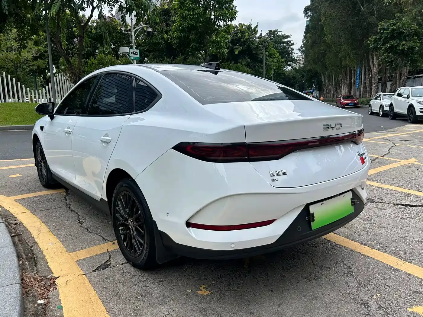BYD Qin PLUS EV Smart Drive Edition 420KM Leading Type 2025 — фото 4