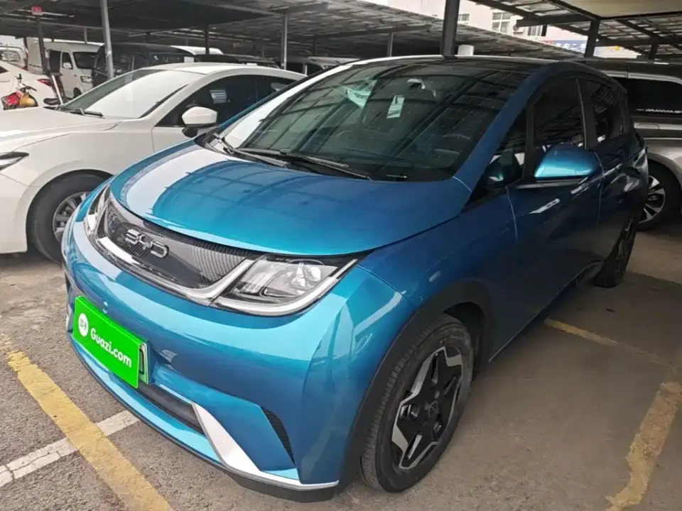 BYD Dolphin Model 405km Fashion Edition 2023
