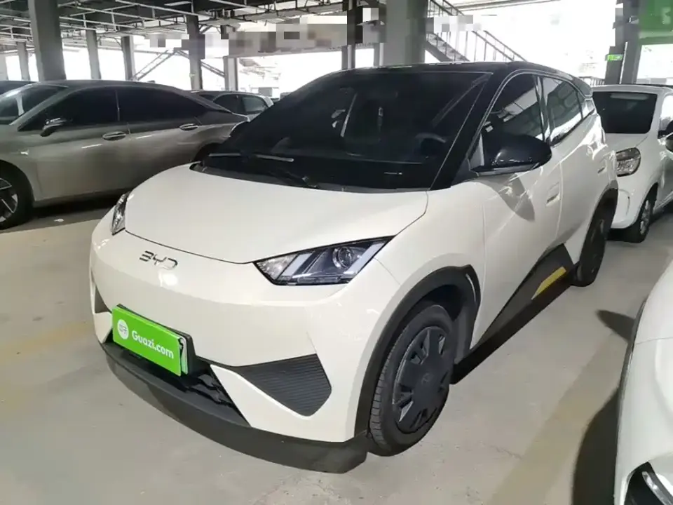 BYD Seagull 305km Vitality 2025
