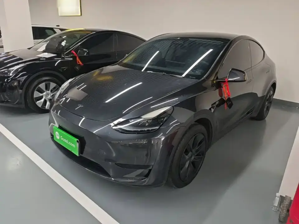 Tesla Model Y Rear-Wheel Drive Version 2024