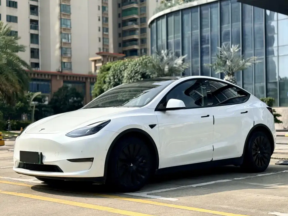 Tesla Model Y Standard Range Rear-Wheel Drive 2021