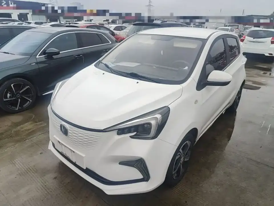 Changan Benben E-Star Model Happy Edition (LFP 31.18kWh) 2021