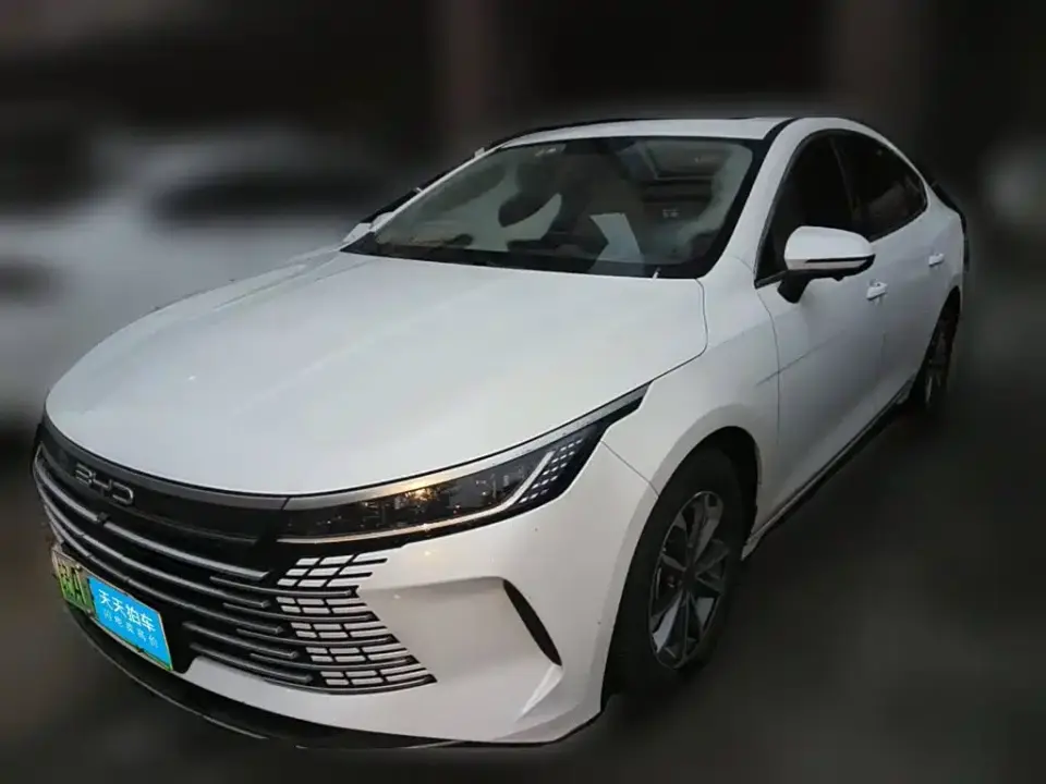 BYD Destroyer 05 Champion Edition DM-i 55KM Premium 2024