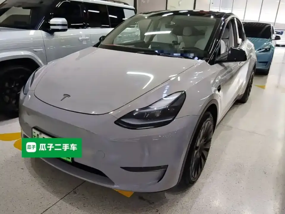 Tesla Model Y Standard Range Rear-Wheel Drive 2021