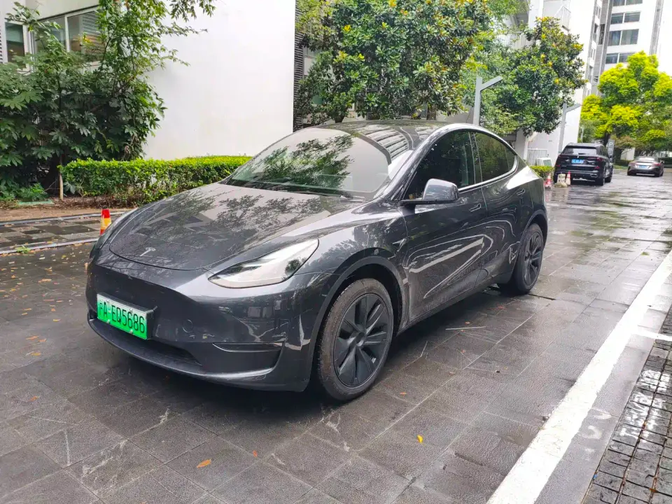 Tesla Model Y Long Range AWD 2024