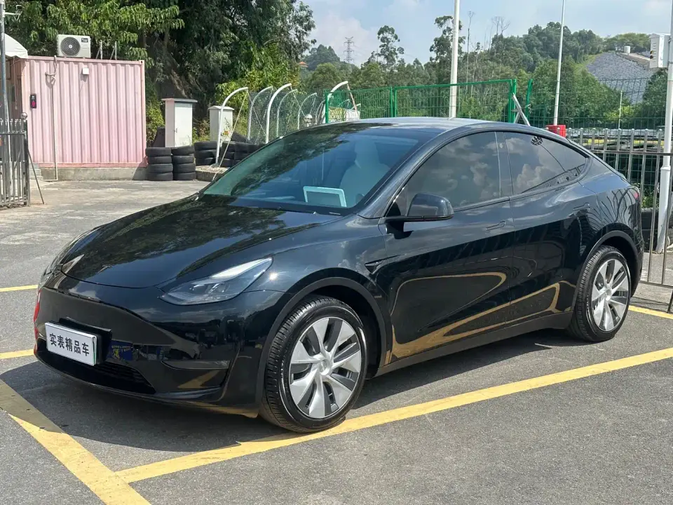 Tesla Model Y Standard Range Rear-Wheel Drive 2021